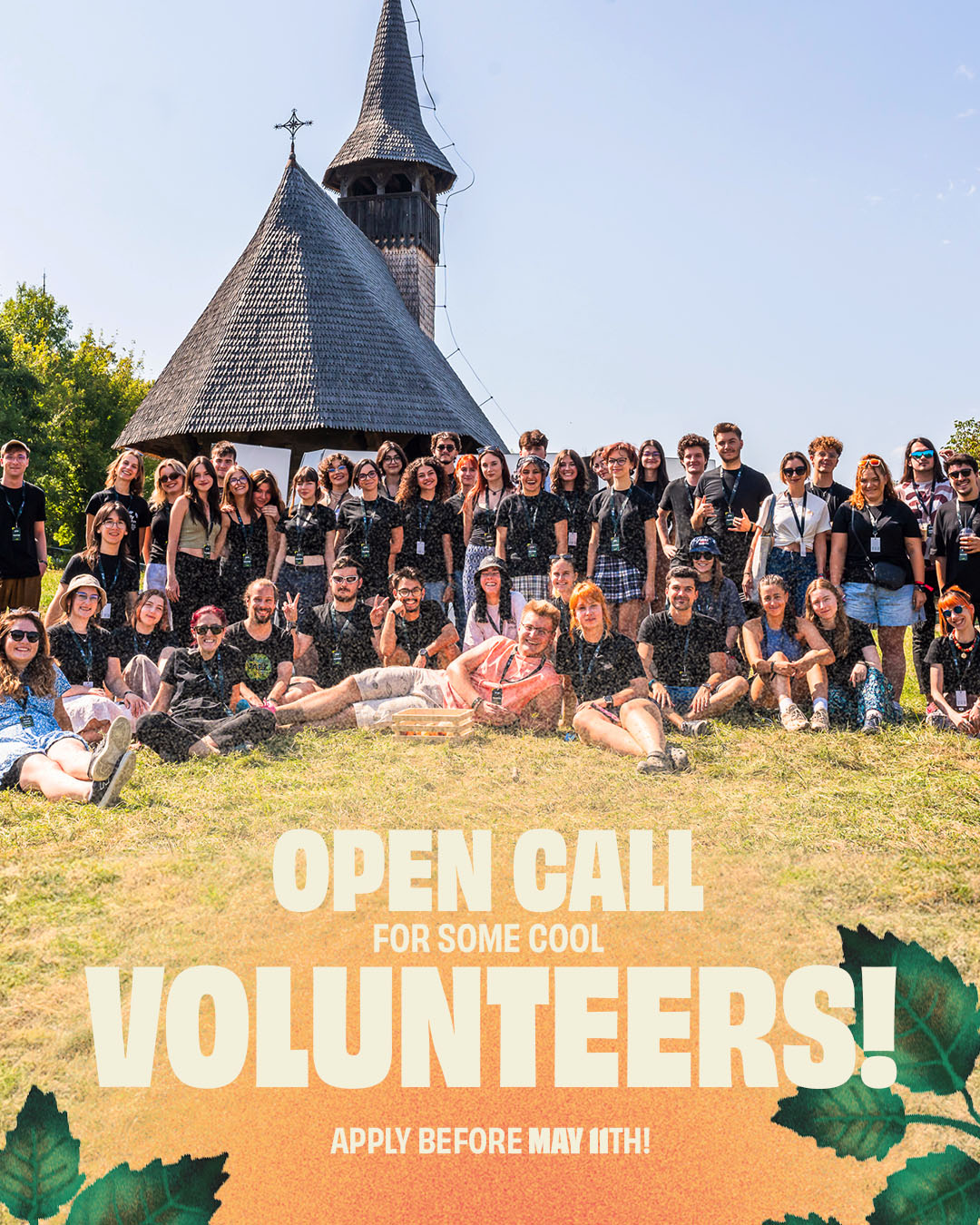 Hai voluntar la Jazz in the Park 13!