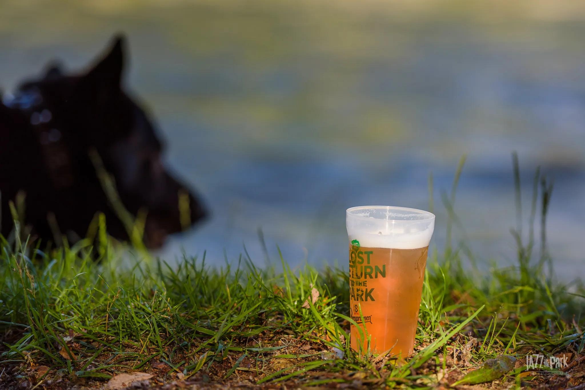 The first festival to introduce reusable cups